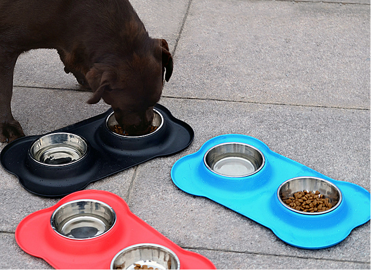 Pet Double Bowl