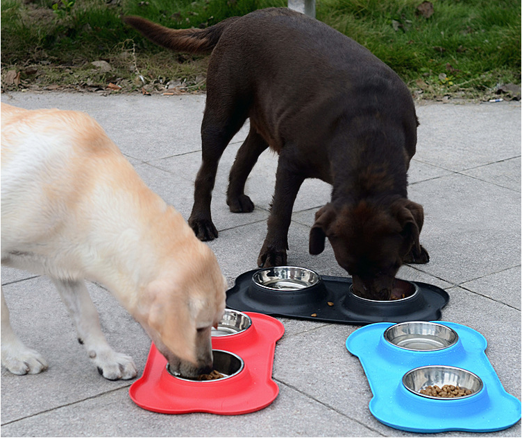 Pet Double Bowl