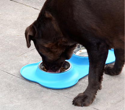 Pet Double Bowl