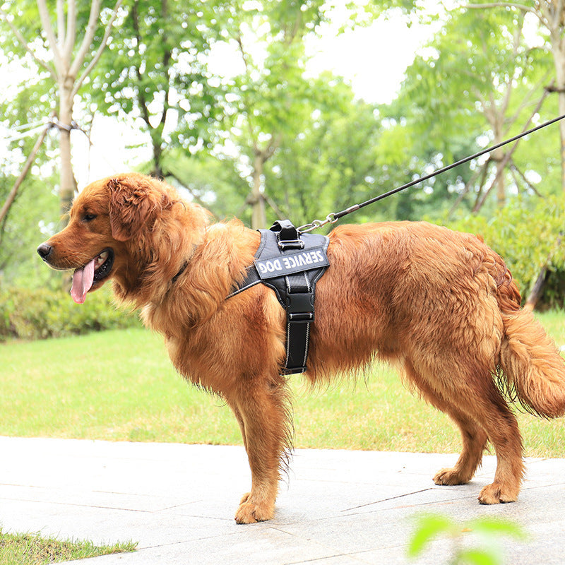 Adjustable Pet Chest Strap