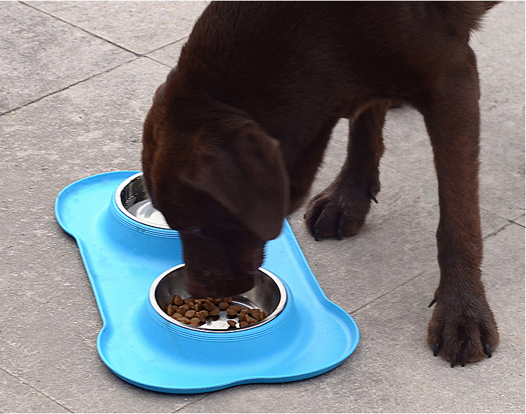 Pet Double Bowl